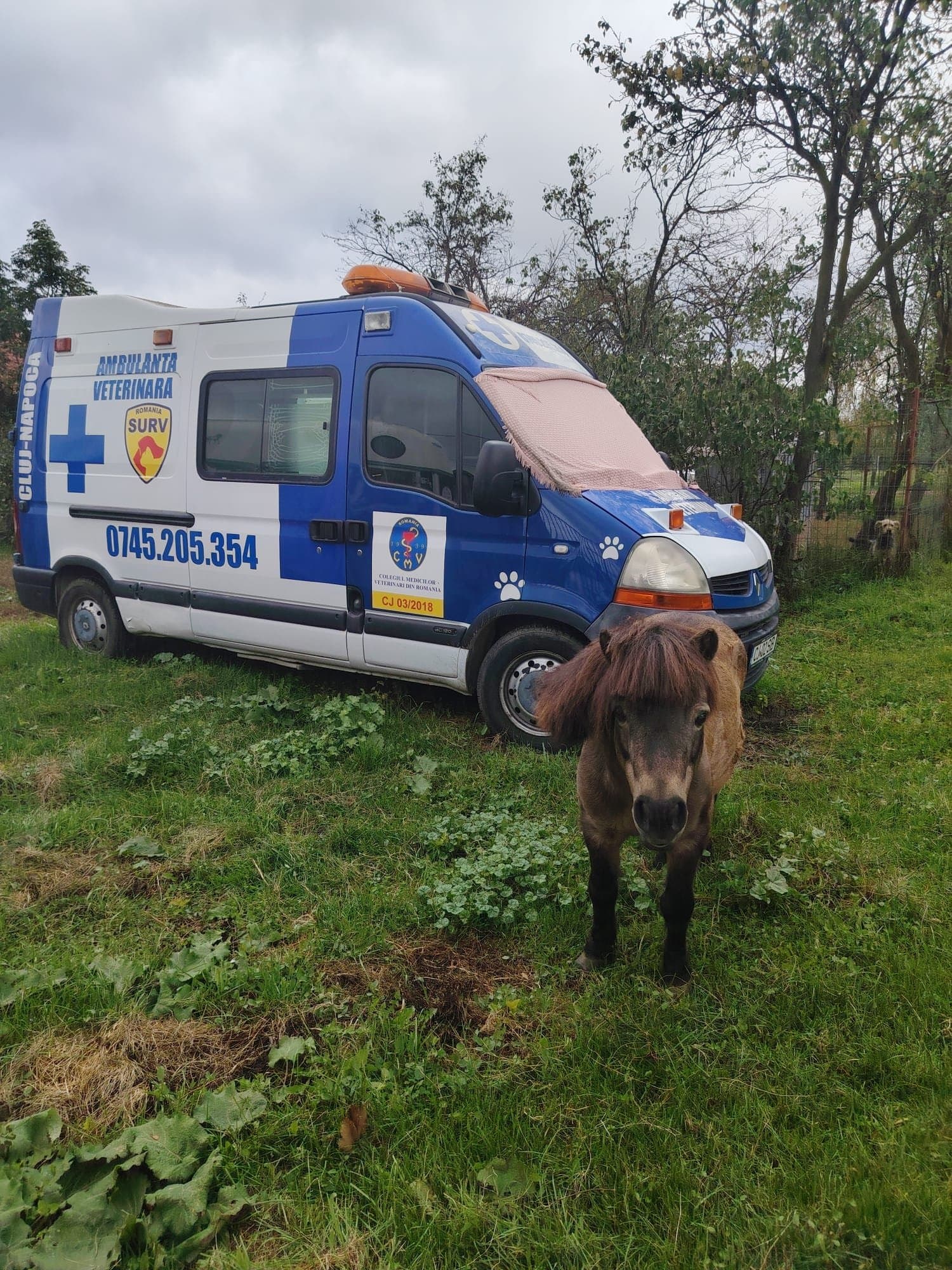 Ambulanța Albastră — gata de intervenție în Cluj-Napoca