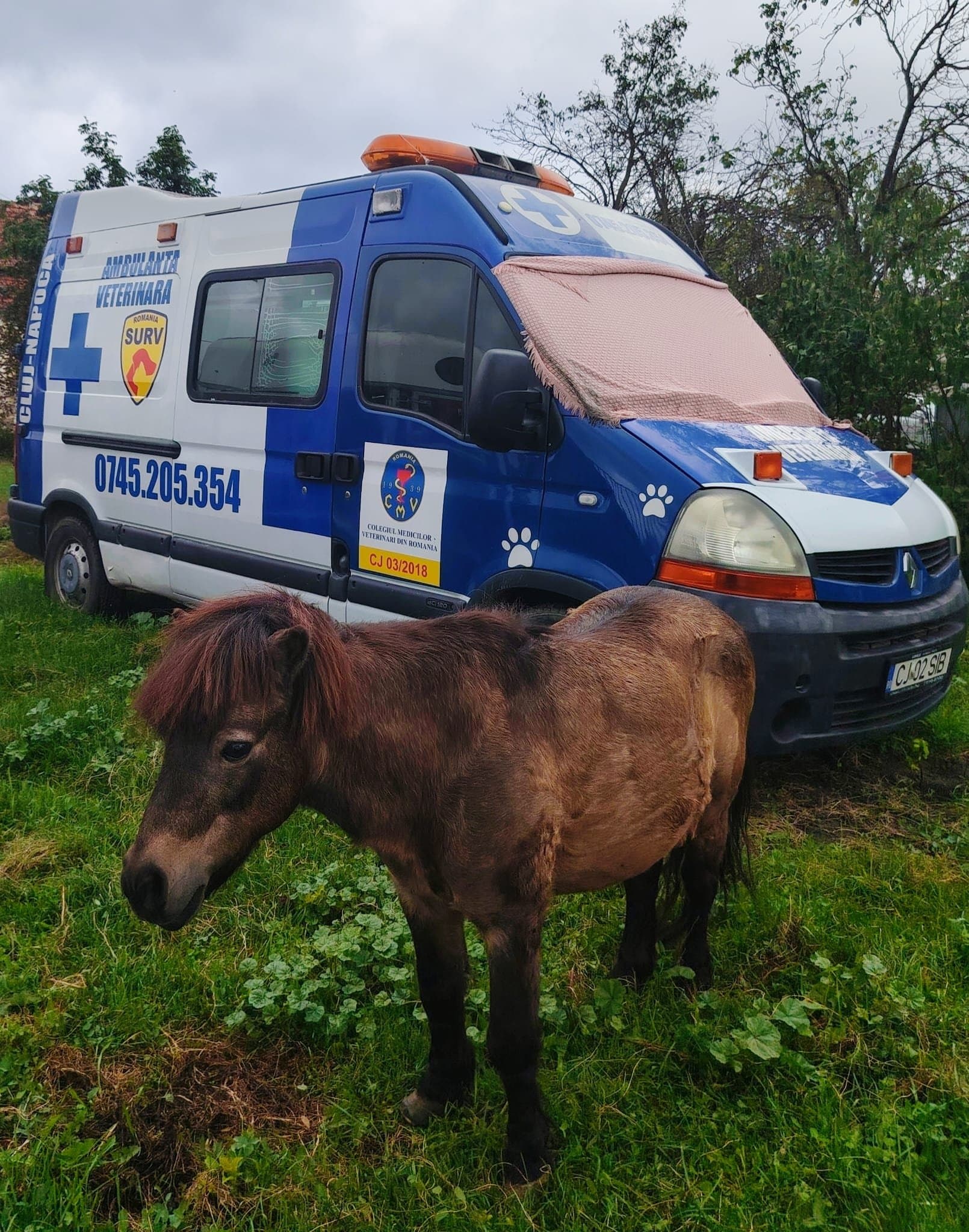 Ambulanța Albastră Veterinară Cluj